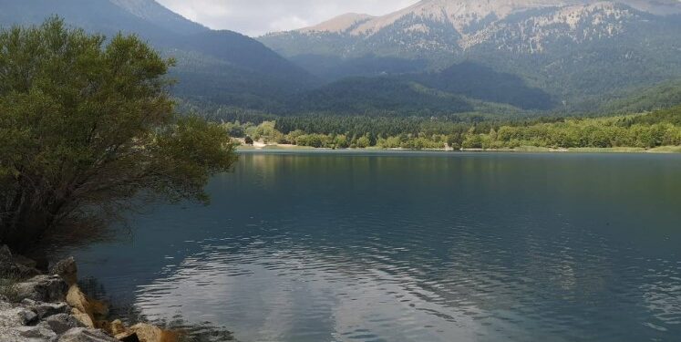 Alldaynews.gr Τραγωδία στην Λίμνη Δόξα:  47χρονος πνίγηκε ενώ έκανε μπάνιο