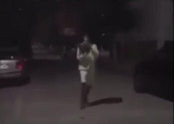 Alldaynews.gr Αποτροπιασμός: Νεαρός πετάει στον αέρα γατάκι και το κλωτσάει