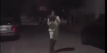 Αποτροπιασμός: Νεαρός πετάει στον αέρα γατάκι και το κλωτσάει