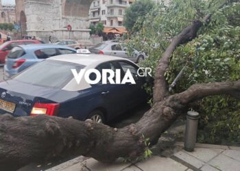 Θεσσαλονίκη: Μπήκαν σε ταξί και έπεσε πάνω του δέντρο που ξεριζώθηκε από την κακοκαιρία (φωτο, video)