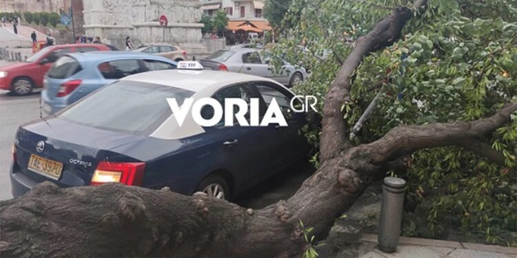 Alldaynews.gr Θεσσαλονίκη: Μπήκαν σε ταξί και έπεσε πάνω του δέντρο που ξεριζώθηκε από την κακοκαιρία (φωτο, video)