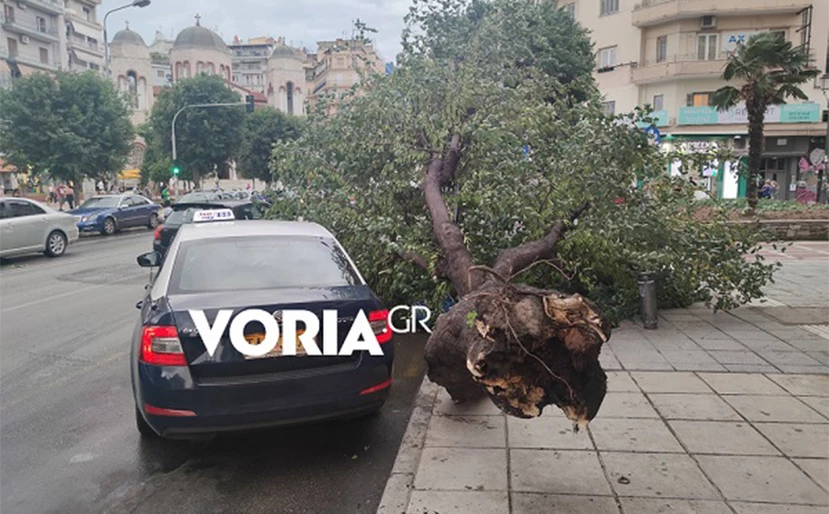 Θεσσαλονίκη: Μπήκαν σε ταξί και έπεσε πάνω του δέντρο που ξεριζώθηκε από την κακοκαιρία