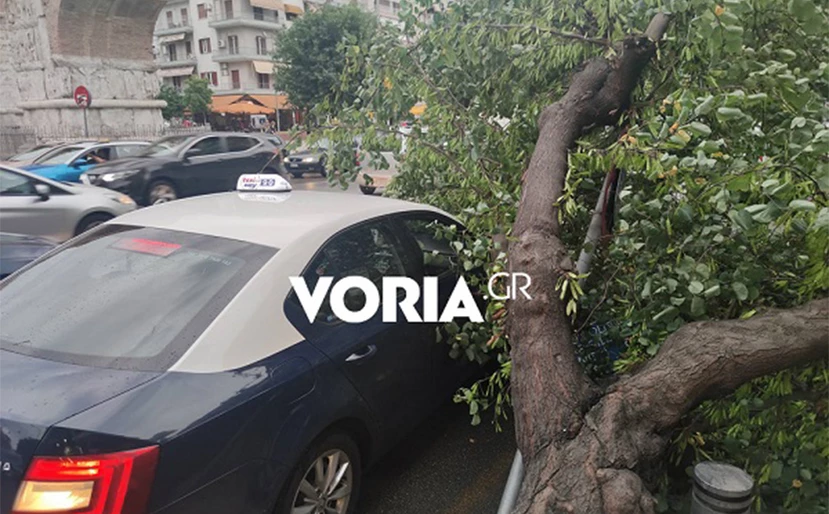 Θεσσαλονίκη: Μπήκαν σε ταξί και έπεσε πάνω του δέντρο που ξεριζώθηκε από την κακοκαιρία