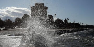 Θεσσαλονίκη: Αυτός είναι ο λόγος που γέμισε νεκρά ποντίκια ο Θερμαϊκός – Καθηγητής εξηγεί (video)