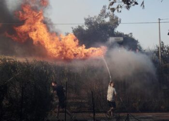 Στεφανίδη: Καίγεται το σπίτι της στην Παλλήνη - «Καιγόμαστε !!!! Ένα πυροσβεστικό στην Χειμάρρας»