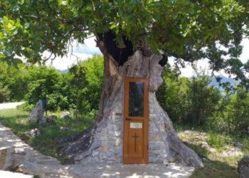 Η Δεντροκκλησιά: Το εκκλησάκι του Αγίου Παϊσίου χτισμένο σε δέντρο[videos]