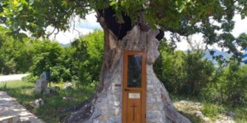 Η Δεντροκκλησιά: Το εκκλησάκι του Αγίου Παϊσίου χτισμένο σε δέντρο[videos]