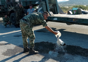Ο ένας για τον άλλον… Στρατιωτικός φροντίζει πελαργό που κάηκε στη φωτιά της Λέσβου
