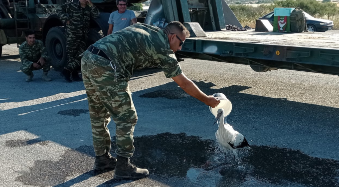 Alldaynews.gr Ο ένας για τον άλλον… Στρατιωτικός φροντίζει πελαργό που κάηκε στη φωτιά της Λέσβου