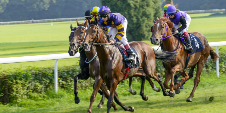 Alldaynews.gr Στρατηγικές στοιχηματισμού ιπποδρομιών και η σημασία του στοιχήματος