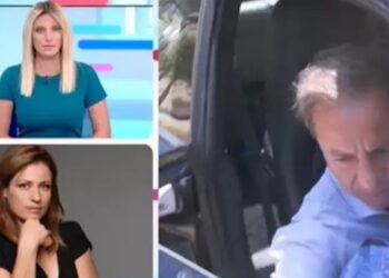 Alldaynews.gr Μαριάννα Τουμασάτου: «Τον γνωστό βιαστή τον αφήνουν έξω και θα μαζέψουν μόνο τον άγνωστο;»