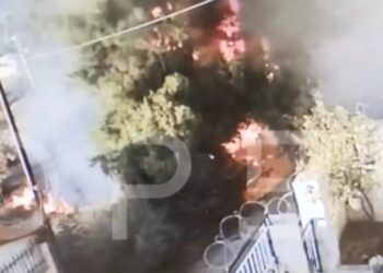 Ασπρόπυργος: Βίντεο ντοκουμέντο με εμπρηστή – Έβαλε φωτιά σε δέντρο δίπλα σε σπίτια