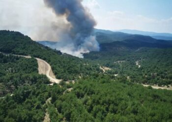 Φωτιά στο δάσος της Δαδιάς: Άρχισε να βρέχει στον Έβρο