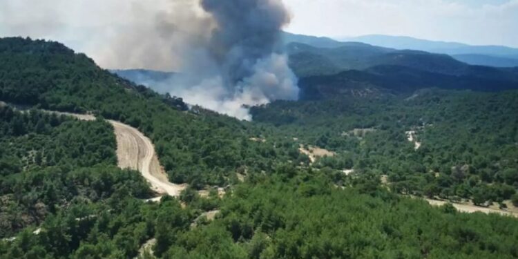 Alldaynews.gr Φωτιά στο δάσος της Δαδιάς: Άρχισε να βρέχει στον Έβρο