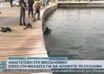 Επεισοδιακή σύλληψη άνδρα στη Θεσσαλονίκη – Έπεσε στον Θερμαϊκό με τις χειροπέδες![video]