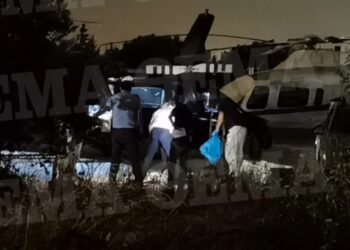 Alldaynews.gr Φρίκη στα Σπάτα: Ο έλικας διαμέλισε τον 21χρονο μπροστά στους γονείς του