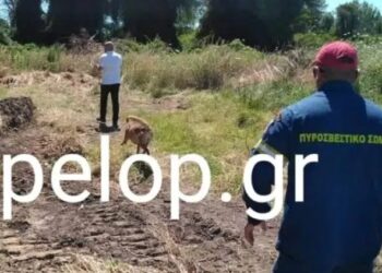 Alldaynews.gr Αχαΐα – Μακάβριο μυστήριο: Θαμμένος σε έλος ο 28χρονος που αγνοείται;