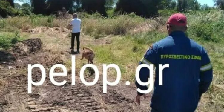 Αχαΐα – Μακάβριο μυστήριο: Θαμμένος σε έλος ο 28χρονος που αγνοείται;