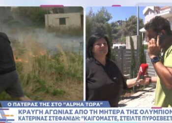 Ο πατέρας της Κατερίνας Στεφανίδη διέσυρε τον Πατούλη: «Eίναι άχρηστος, να παραιτηθεί αν έχει τσίπα!»