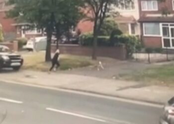 Σκυλίτσα έσωσε στο παρά πέντε το αφεντικό της[video]