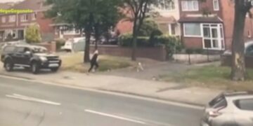 Σκυλίτσα έσωσε στο παρά πέντε το αφεντικό της[video]