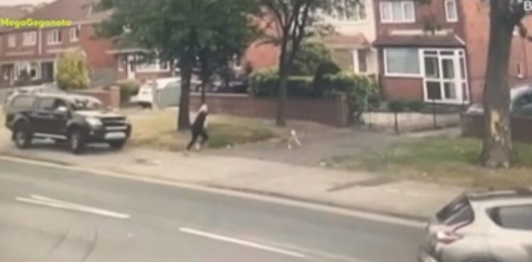 Σκυλίτσα έσωσε στο παρά πέντε το αφεντικό της[video]