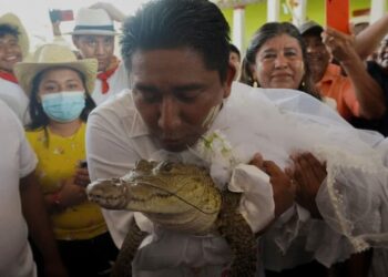 Δήμαρχος παντρεύτηκε αλιγάτορα για να εξασφαλίσει ευημερία στους συγχωριανούς του[video]