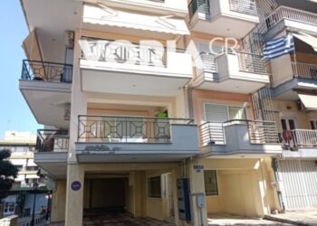 Φρίκη στην Θεσσαλονίκη: «Ακούγαμε τον γιο να φωνάζει μέσα στο σπίτι» λένε γείτονες της 79χρονης[Σκληρή Εικόνα]