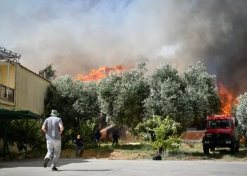 Alldaynews.gr Ανεξέλεγκτη η φωτιά στην Ηλεία: Εκκενώνονται περιοχές – Καίγονται σπίτια – Συγκλονιστικές εικόνες
