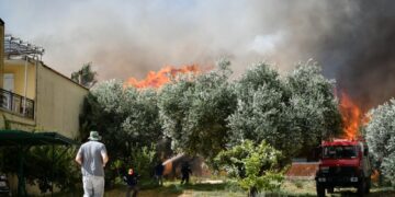 Alldaynews.gr Ανεξέλεγκτη η φωτιά στην Ηλεία: Εκκενώνονται περιοχές – Καίγονται σπίτια – Συγκλονιστικές εικόνες