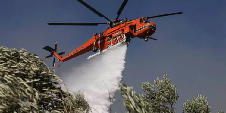 Alldaynews.gr Φωτιά στην Ηλεία: Συνελήφθη για εμπρησμό από πρόθεση στα Άγναντα – Οι μαρτυρίες που τον «έκαψαν»