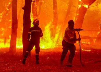 Φωτιά στη Λέσβο: Συνεργάτης του OPEN πήδηξε στη θάλασσα για να γλιτώσει!