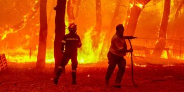 Alldaynews.gr Φωτιά στη Λέσβο: Συνεργάτης του OPEN πήδηξε στη θάλασσα για να γλιτώσει!