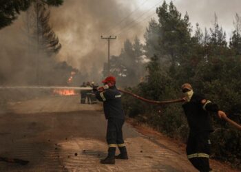 Alldaynews.gr Φωτιές στην Εύβοια: Oμολόγησε ο 62χρονος- «Εγώ τις έβαλα και τις τέσσερις»