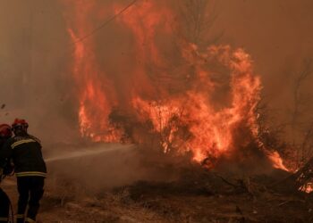Φωτιά στη Ραφήνα – Μεγάλη κινητοποίηση της Πυροσβεστικής