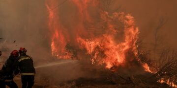 Alldaynews.gr Φωτιά στη Ραφήνα – Μεγάλη κινητοποίηση της Πυροσβεστικής