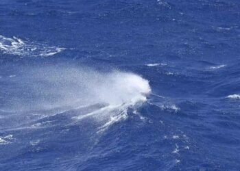 Θρίλερ με πτώμα γυναίκας – Ήταν στη θάλασσα 3 μήνες