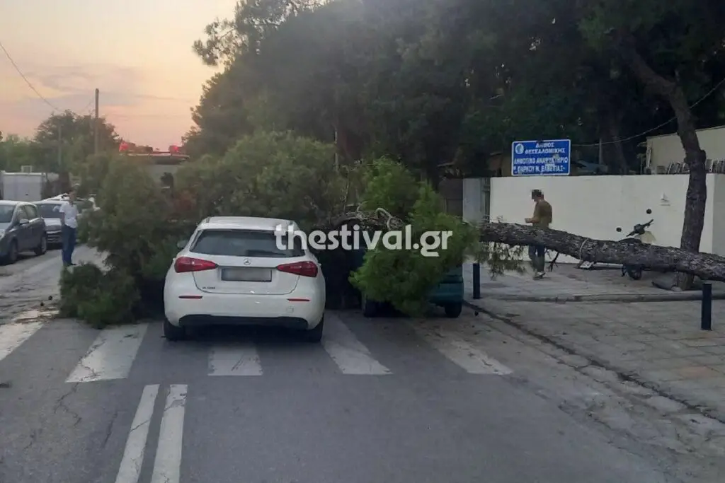 ΠΡΙΝ ΛΙΓΟ στη Θεσσαλονίκη: Δέντρο προσγειώθηκε σε εν κινήσει αυτοκίνητο – Έκλεισε ο δρόμος (φωτο)