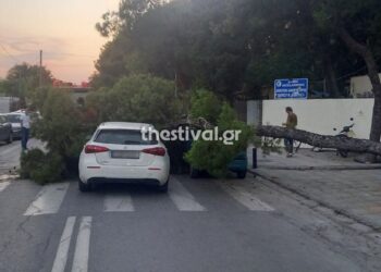 ΠΡΙΝ ΛΙΓΟ στη Θεσσαλονίκη: Δέντρο προσγειώθηκε σε εν κινήσει αυτοκίνητο – Έκλεισε ο δρόμος (φωτο)