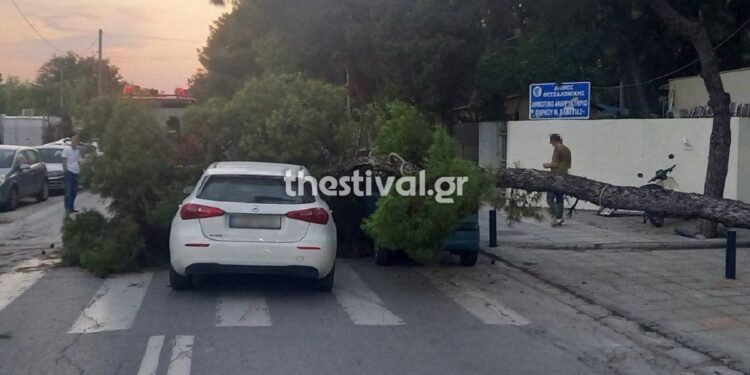 ΠΡΙΝ ΛΙΓΟ στη Θεσσαλονίκη: Δέντρο προσγειώθηκε σε εν κινήσει αυτοκίνητο – Έκλεισε ο δρόμος (φωτο)