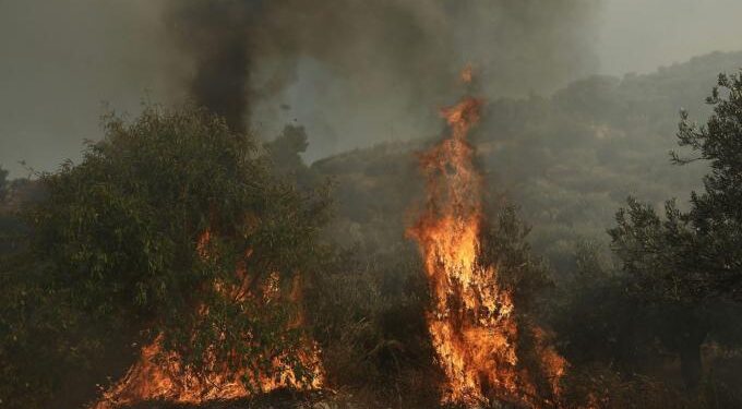 Alldaynews.gr Μεγάλη πυρκαγιά κοντά στην Κερατέα – Πάνω από 50 πυροσβέστες στο σημείο, εκκενώνεται οικισμός