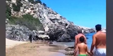 Alldaynews.gr Ρόδος: Δεκάδες μετανάστες έφτασαν σε παραλία με ξαπλώστρες και τουρίστες να κοιτούν αποσβολωμένοι (video)