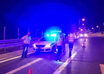 Κοζάνη: Αρκούδα συγκρούστηκε με αυτοκίνητο στην Εγνατία Οδό