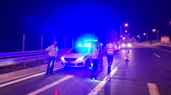 Alldaynews.gr Κοζάνη: Αρκούδα συγκρούστηκε με αυτοκίνητο στην Εγνατία Οδό