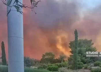 Στις φλόγες πολυτελές ξενοδοχείο, στην παραλία ο κόσμος μετά την εκκένωση του ξενοδοχείου (φωτο, video)