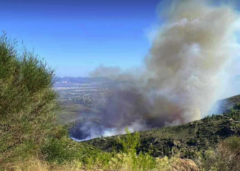 Μεγάλη φωτιά τώρα στο Ντράφι – Ορατοί οι καπνοί από Νέα Μάκρη (vid)