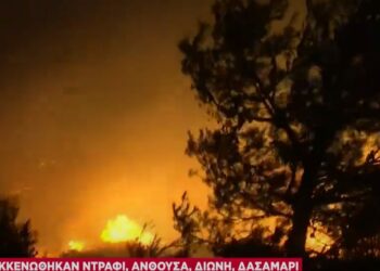 Εθελοντές δασοπυροσβέστες και ΔΙΑΣ έσωσαν μητέρα και παιδί: Τους έψαχνε ο πατέρας