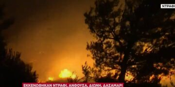 Alldaynews.gr Εθελοντές δασοπυροσβέστες και ΔΙΑΣ έσωσαν μητέρα και παιδί: Τους έψαχνε ο πατέρας