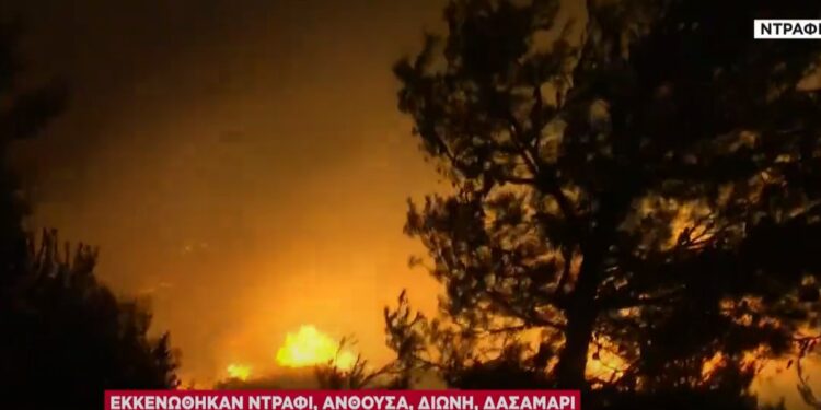 Alldaynews.gr Εθελοντές δασοπυροσβέστες και ΔΙΑΣ έσωσαν μητέρα και παιδί: Τους έψαχνε ο πατέρας