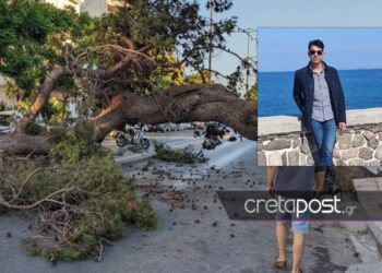 Θρήνος για τον 51χρονο Παναγιώτη που καταπλακώθηκε από δέντρο-Ήταν πατέρας 3 παιδιών[photos]